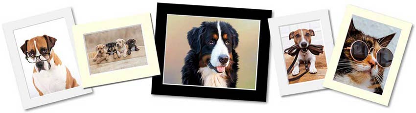 Picture mount and frames